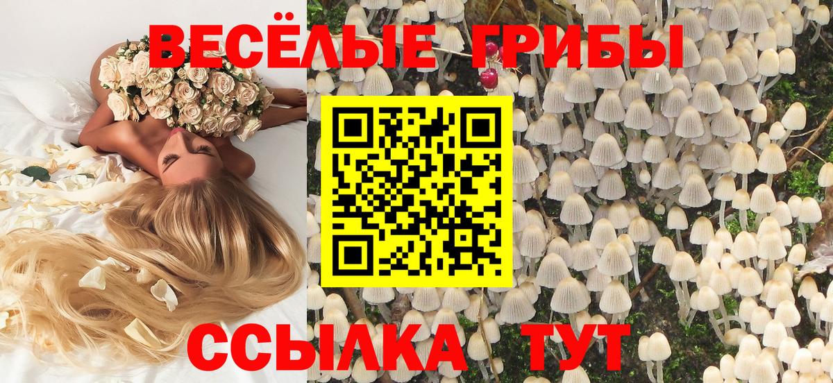 Галлюциногенные грибы Magic Shrooms  Псилоцибиновые грибы ЛСД  Вход с VPN  Белебей 